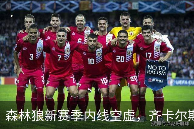 森林狼新赛季内线空虚，齐卡尔斯基需要抓住机会